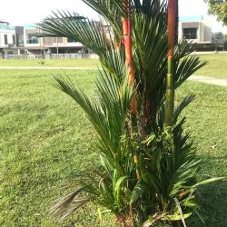 Taman Puchong Utama - Puchong