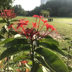 Taman Puchong Utama - Puchong