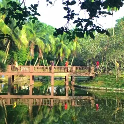 Shah Alam Lake Gardens - Putra Heights