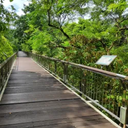 Putrajaya Botanical Garden - Putrajaya