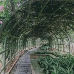 Putrajaya Botanical Garden - Putrajaya