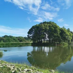 Putrajaya Wetlands Park - Putrajaya