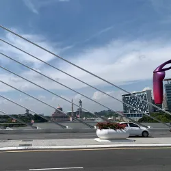 Seri Wawasan Bridge - Putrajaya