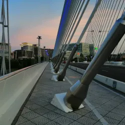 Seri Wawasan Bridge - Putrajaya