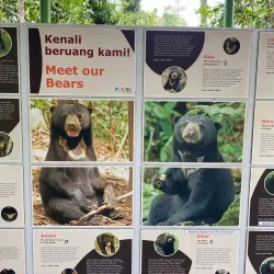 Bornean Sun Bear Conservation Centre - Sandakan