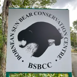 Bornean Sun Bear Conservation Centre - Sandakan