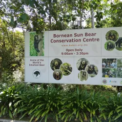 Bornean Sun Bear Conservation Centre - Sandakan