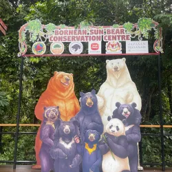 Bornean Sun Bear Conservation Centre - Sandakan