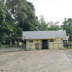 Gomantong Caves - Sandakan