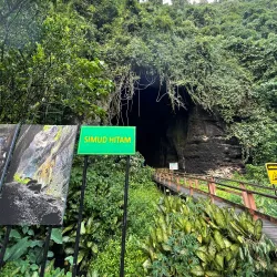 Gomantong Caves - Sandakan