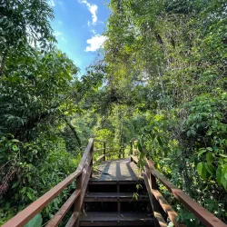Gomantong Caves - Sandakan