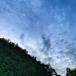 Gomantong Caves - Sandakan