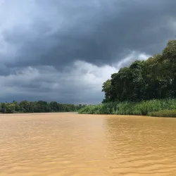 Kinabatangan River - Sandakan