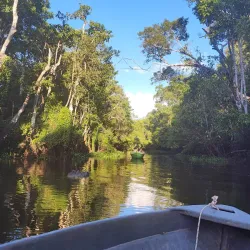 Kinabatangan River - Sandakan