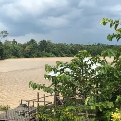 Kinabatangan River - Sandakan