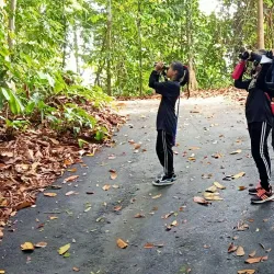 Rainforest Discovery Centre - Sandakan
