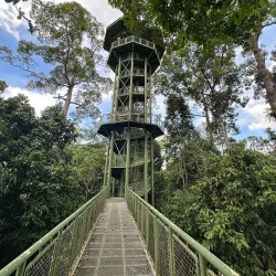 Rainforest Discovery Centre - Sandakan