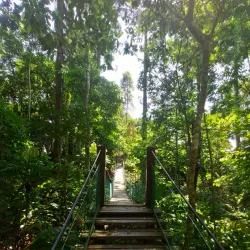 Rainforest Discovery Centre - Sandakan