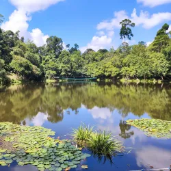 Rainforest Discovery Centre - Sandakan