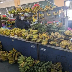 Sandakan Central Market - Sandakan