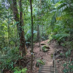 Bako National Park - Sarawak