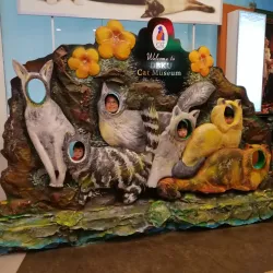 Cat Museum - Sarawak