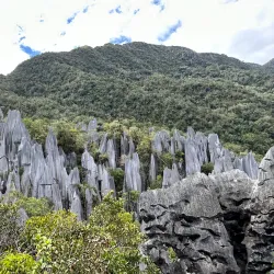 Gunung Mulu National Park - Sarawak