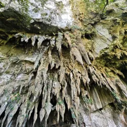 Gunung Mulu National Park - Sarawak