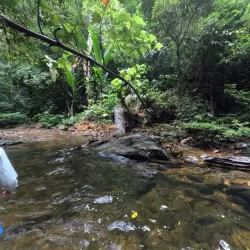 Gunung Mulu National Park - Sarawak