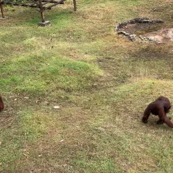 Matang Wildlife Centre - Sarawak