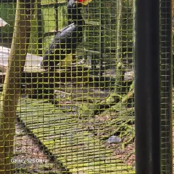 Matang Wildlife Centre - Sarawak