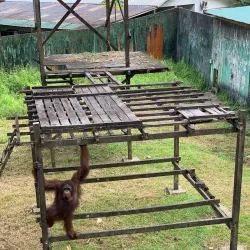 Matang Wildlife Centre - Sarawak