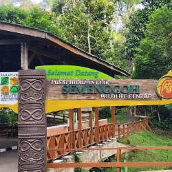 Semenggoh Wildlife Centre - Sarawak