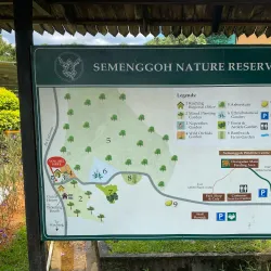 Semenggoh Wildlife Centre - Sarawak