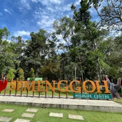 Semenggoh Wildlife Centre - Sarawak