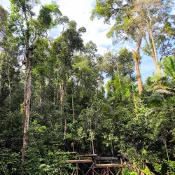 Semenggoh Wildlife Centre - Sarawak