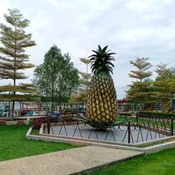 Pineapple Museum - Sarikei