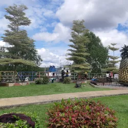 Pineapple Museum - Sarikei