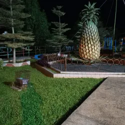 Pineapple Museum - Sarikei