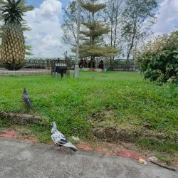 Pineapple Museum - Sarikei