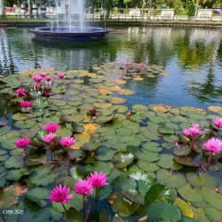 Sarikei Heritage Trail - Sarikei