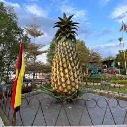 Sarikei Pineapple Festival - Sarikei