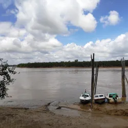 Sarikei Pineapple Festival - Sarikei