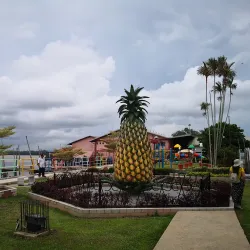 Sarikei Pineapple Festival - Sarikei