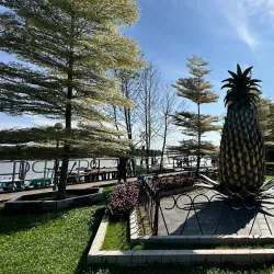 Sarikei Pineapple Festival - Sarikei