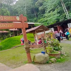 Air Terjun Bekok (Bekok Waterfall) - Segamat