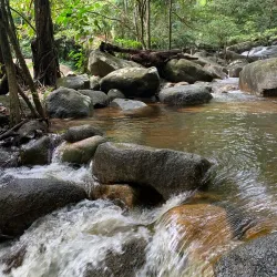 Gunung Ledang National Park - Segamat