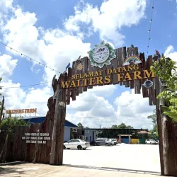 Ladang Buah Segamat (Fruit Farm) - Segamat