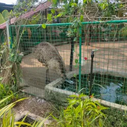 Ladang Buah Segamat (Fruit Farm) - Segamat