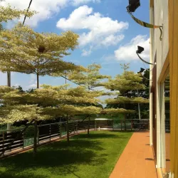 Segamat Lake Garden - Segamat